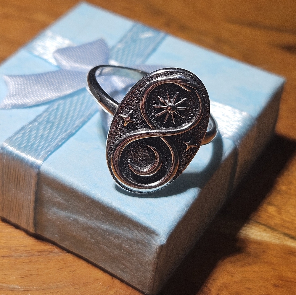 Sterling Ouroboros Ring S925 Snake Eating Tail